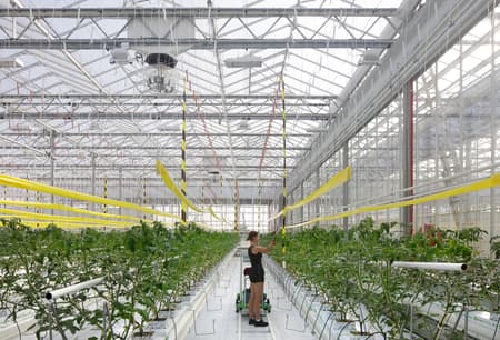 Rooftop Greenhouse Agrotopia